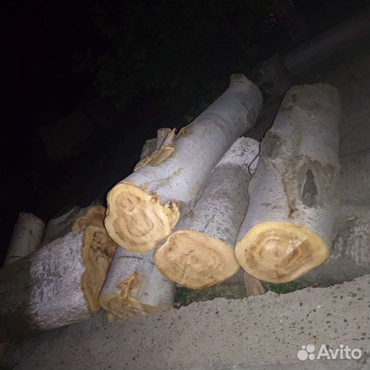 Спил тополь