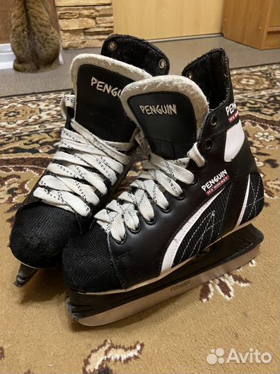 Коньки мужские