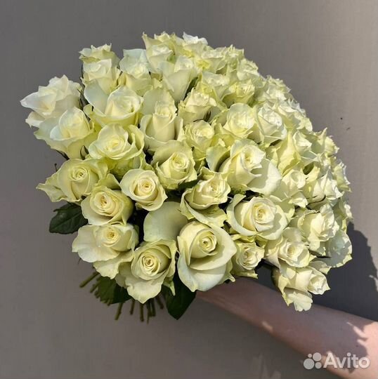 51 роза. Розы 40 см. Букеты. Доставка Калининград