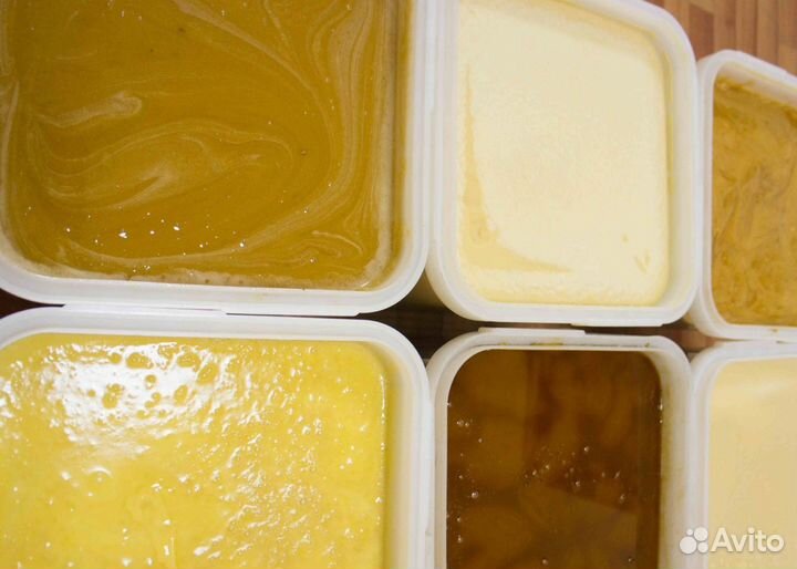 2024 Мед натуральный из Алтая оптом