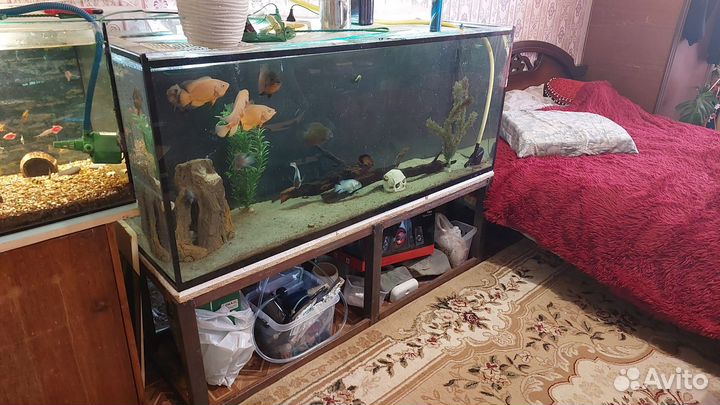 Аквариум