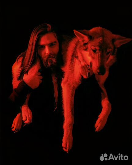 Кинолог. Специалист по коррекции поведения собаки