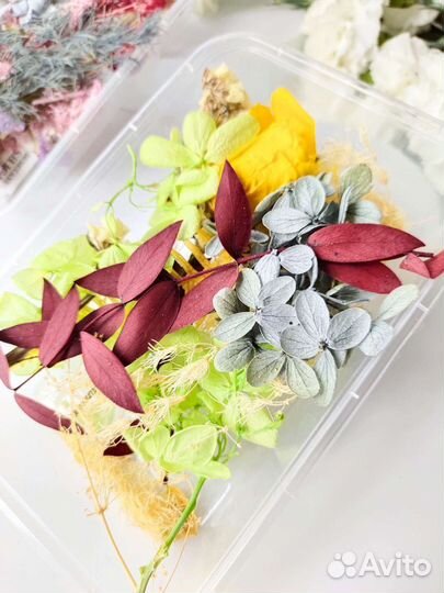 Сухие цветы в коробке, сухоцветы
