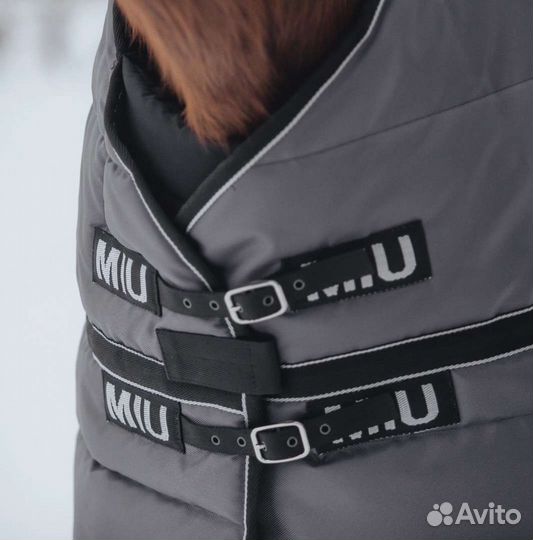 Попона для лошади 155