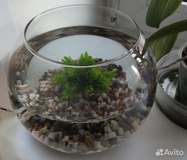 Новый аквариум