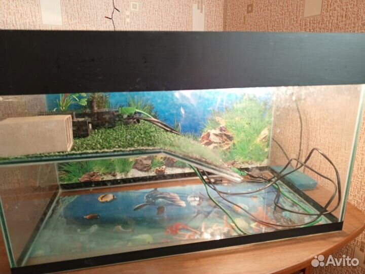 Украшение для аквариума