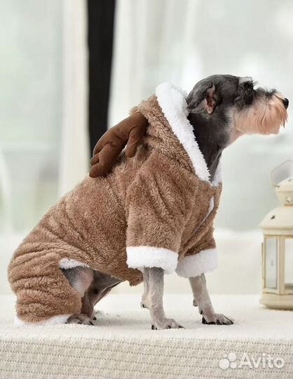 Одежда для животных