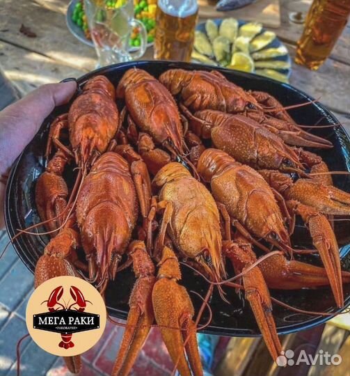Живые раки. Вкусно сварим и доставим
