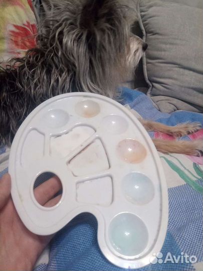 Палитра для акварели