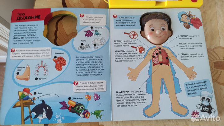 Интерактивная книжка