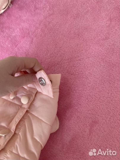 Костюм для собак