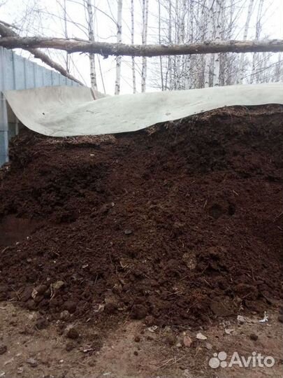 Навоз конский