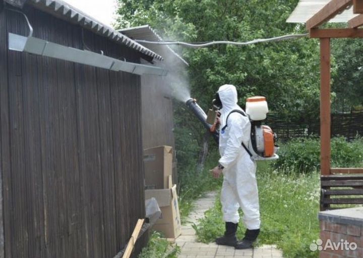 Дезинсекция тараканы муравьи клопы