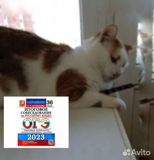 Репетитор по русскому языку и математике