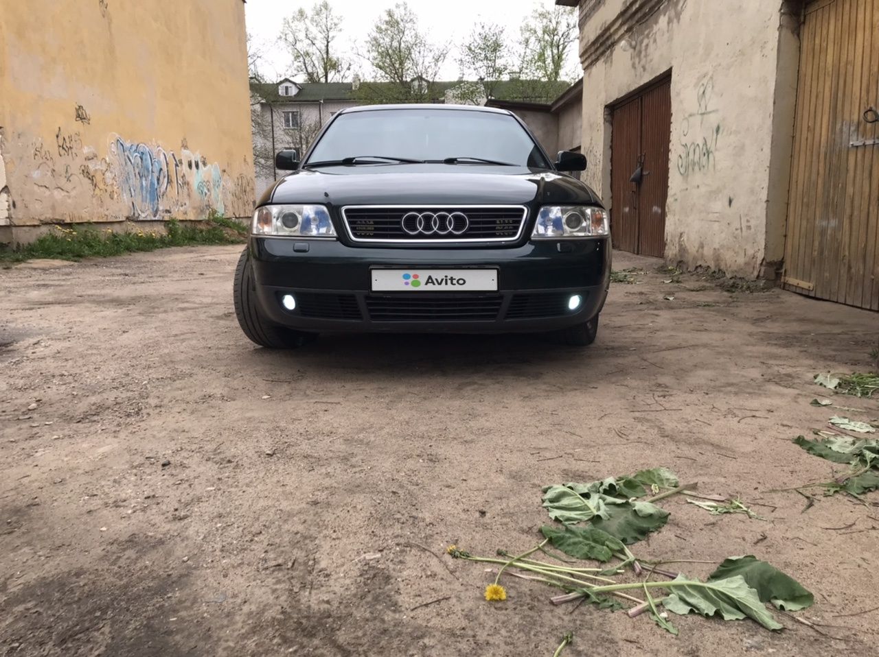 Audi A6: фото владельца