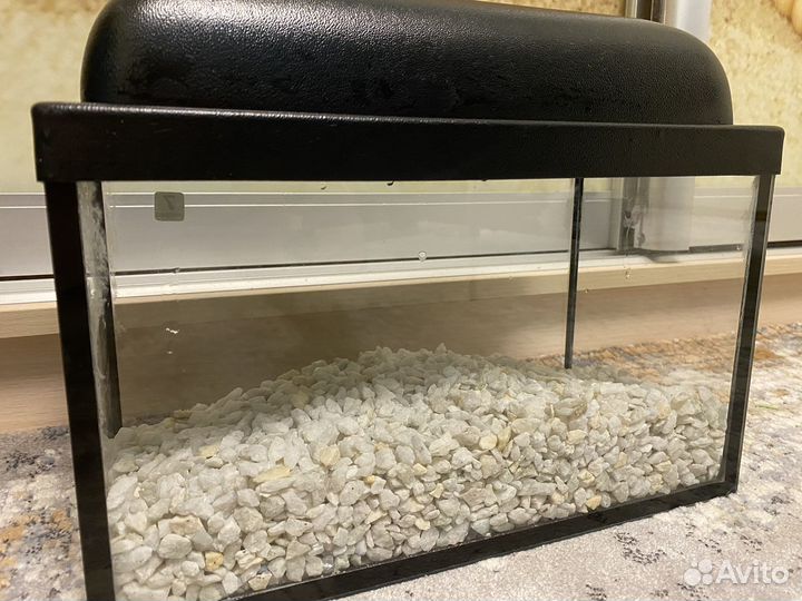 Аквариумные рыбки