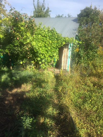 Дача 40 м² на участке 4,3 сот.