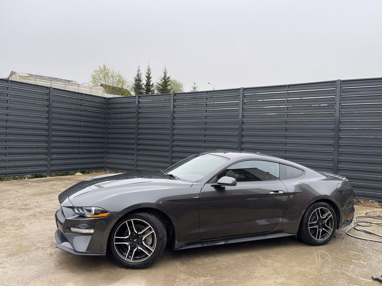 Ford Mustang: фото владельца