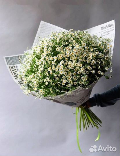 Рамашки букет