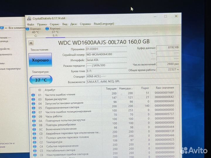Western Digital WD Blue 160 гб WD1600aajs