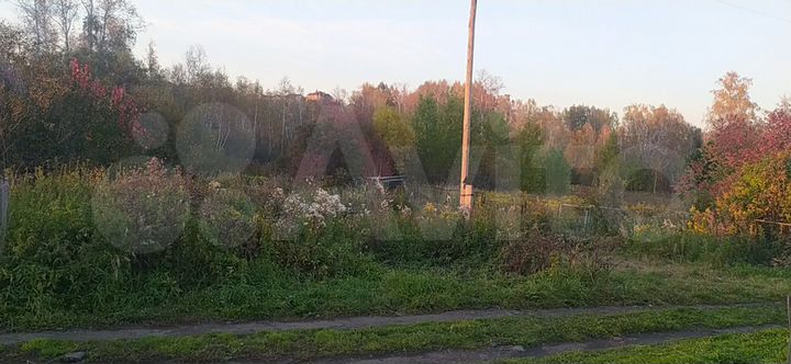 Участок 10 сот. (СНТ, ДНП)