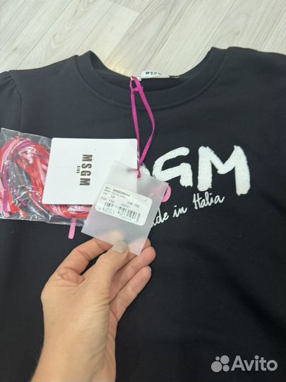 Толстовка msgm