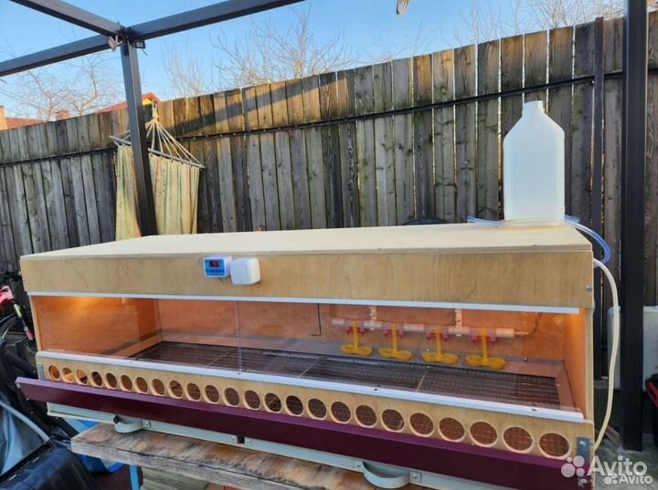 Брудер. Ящик для перевозки, Кормушка