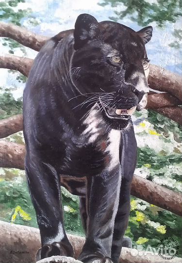 Картина пума тигр лев пантера животных на холсте