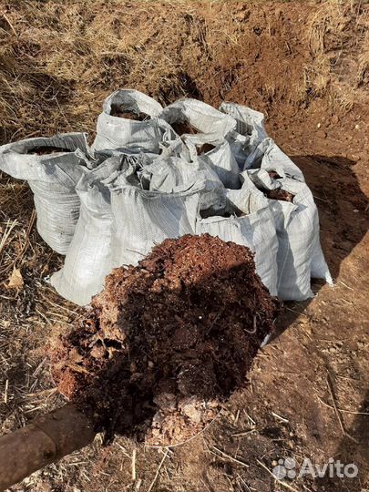 Перегной в мешках с доставкой