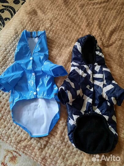 Дождевик и зимняя куртка для собак
