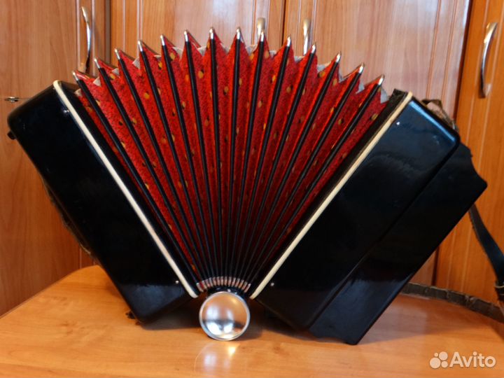 Гармонь чайка