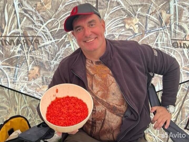 Туры по Камчатке, Джип туры