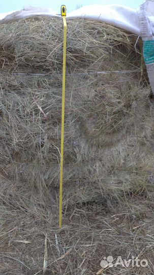 Сено в рулонах. Люцерна.Разнотравье