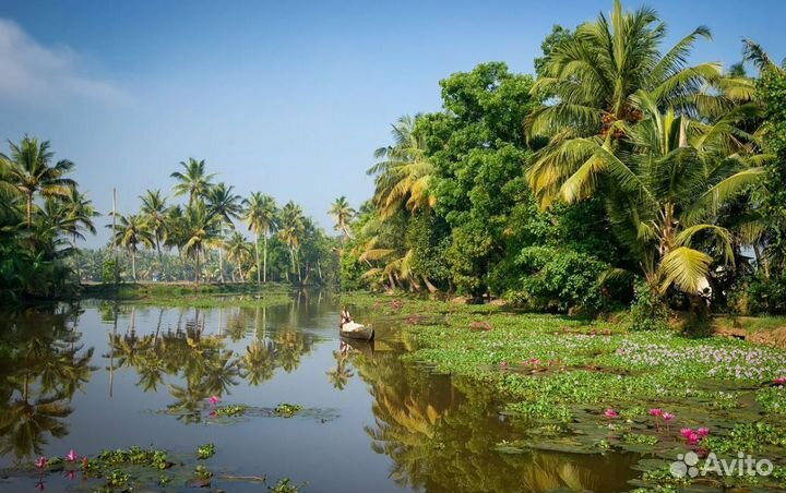 Турне в India 7 дней