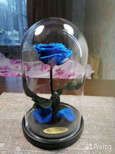 Роза в колбе