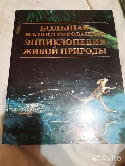 Школьная литература