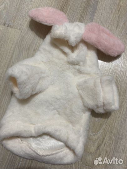 Одежда для животных