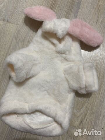 Одежда для животных