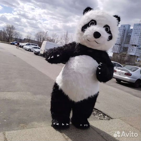 Поздравление от Панды