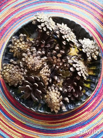 Композиция из шишек/шишки