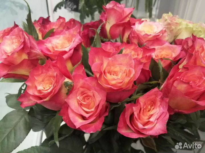 Розы Цветы Букеты Доставка Тула