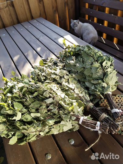 Веники для бани березовые