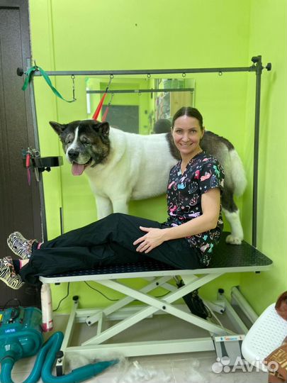 Услуги грумера