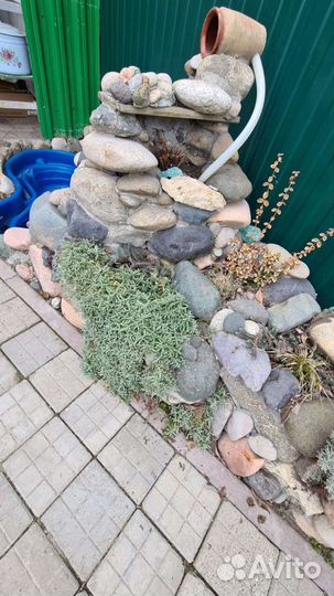 Юкка и плющ для альпийской горки, Спатифиллум