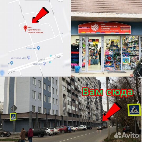 Набор для опытов «Моё тело», мозг