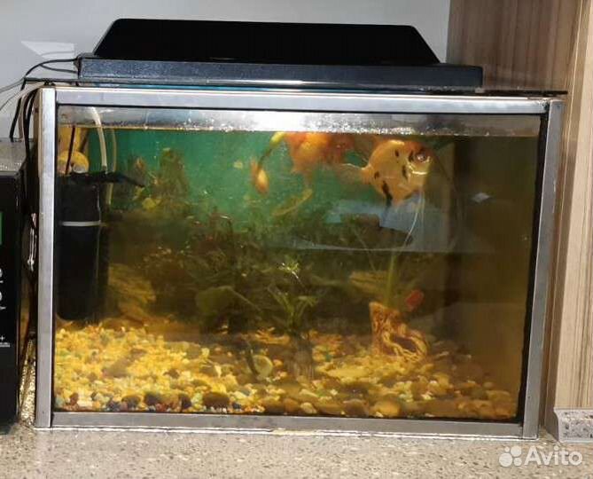 Аквариум с рыбками и всеми принадлежностями