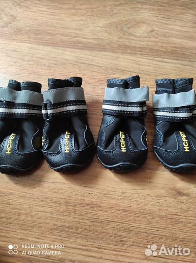 Обувь для собак