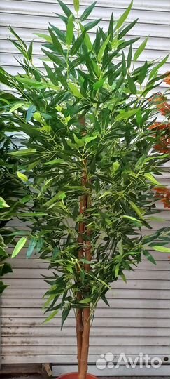 Мост и цветы