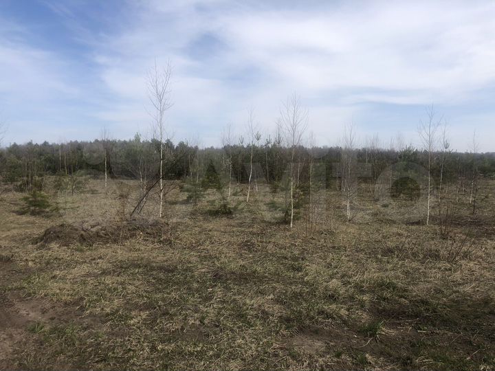 Участок 7,5 сот. (ИЖС)