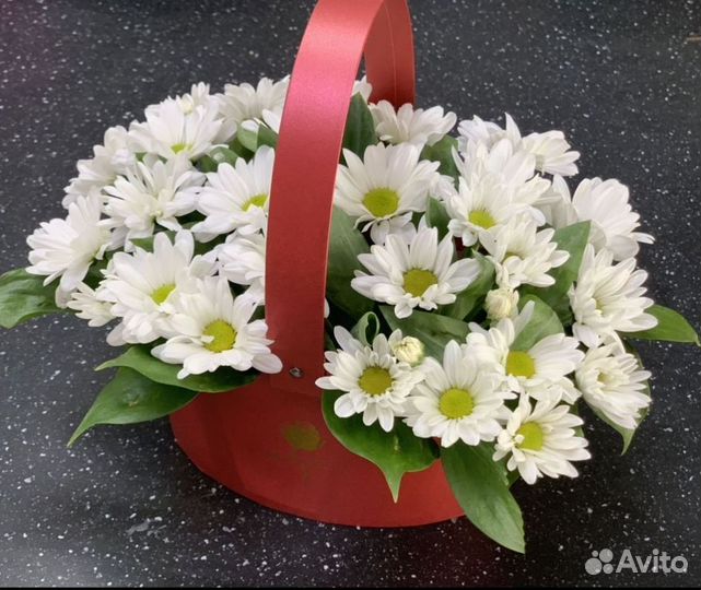 Цветы хризантемы